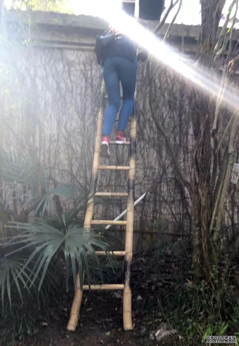 一家四口惨遭杀害谁是线年前命案真相