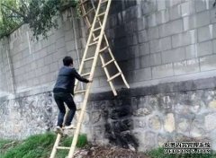 大衣哥朱之文“躲避骚扰翻墙”被网暴：对错被